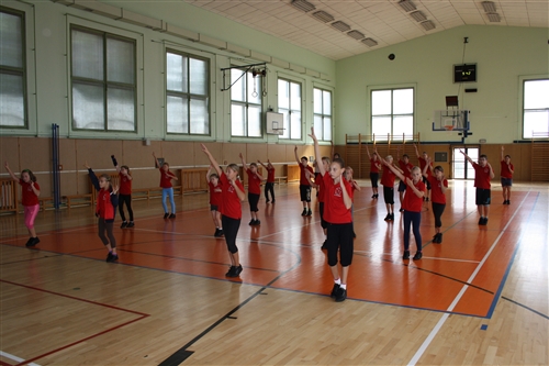 Obrázek v galerii